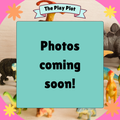 Prehistoric Pals Party Kit